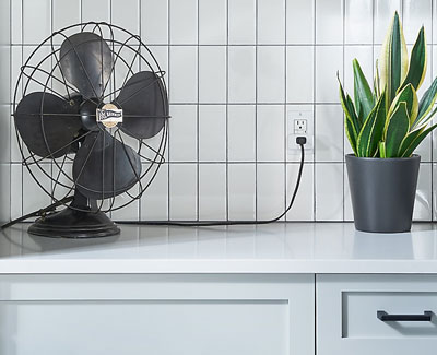  At the left part of this pic is an old-style grille fan on a desk plugged into the smart plug. At the right is a potted plant on a desk.  